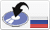 allsoft Россия